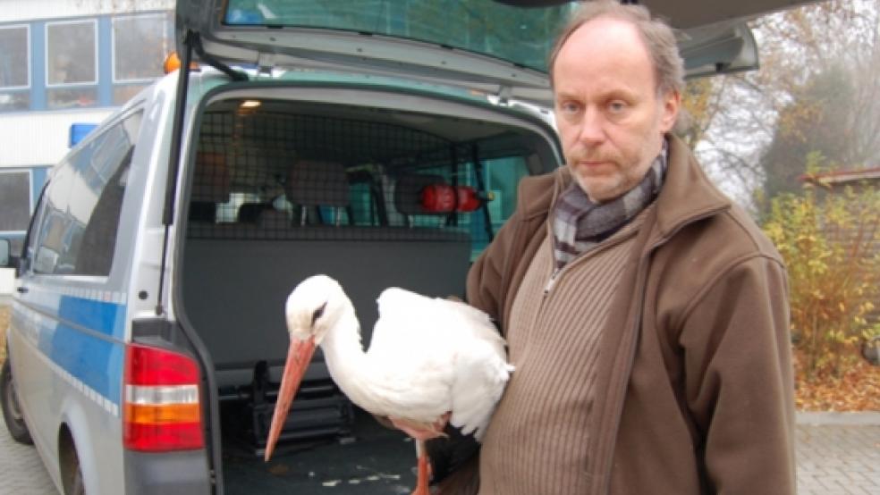 Den schwerverletzten Storch nahm am Montag Klaus Meyer von der Wildtierauffangstation in seine Obhut. In Rastede starb das Tier an seinen Verletzungen.  © Foto: Nagel