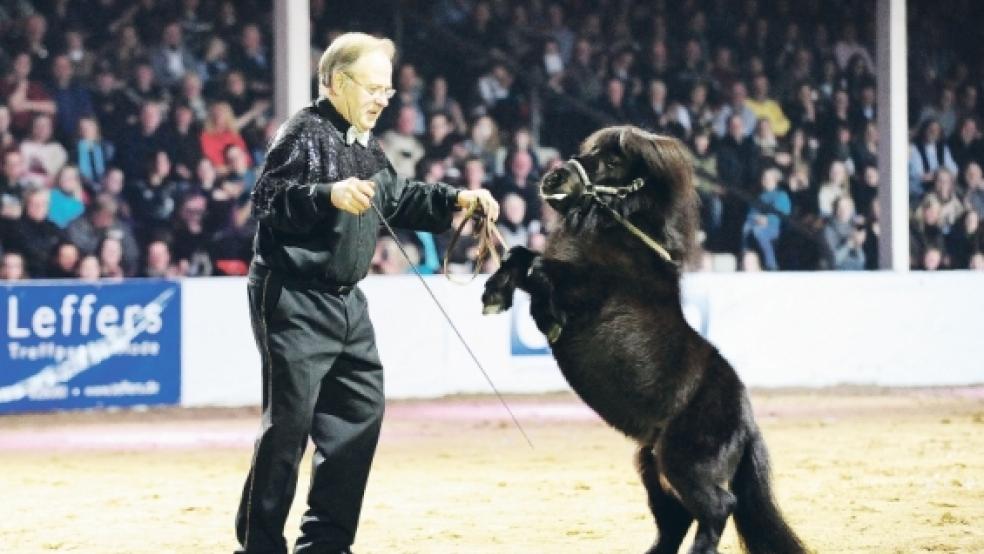 Hengst Totilas wurde im Jahr 2010 mit der Verkaufssumme von über 10 Millionen Euro das teuerste Dressurpferd der Welt. »Klein Totilas« (Foto) eifert seinem großen Vorbild nach und zeigte sein Können beim Galaabend. © Fotos: Gleich