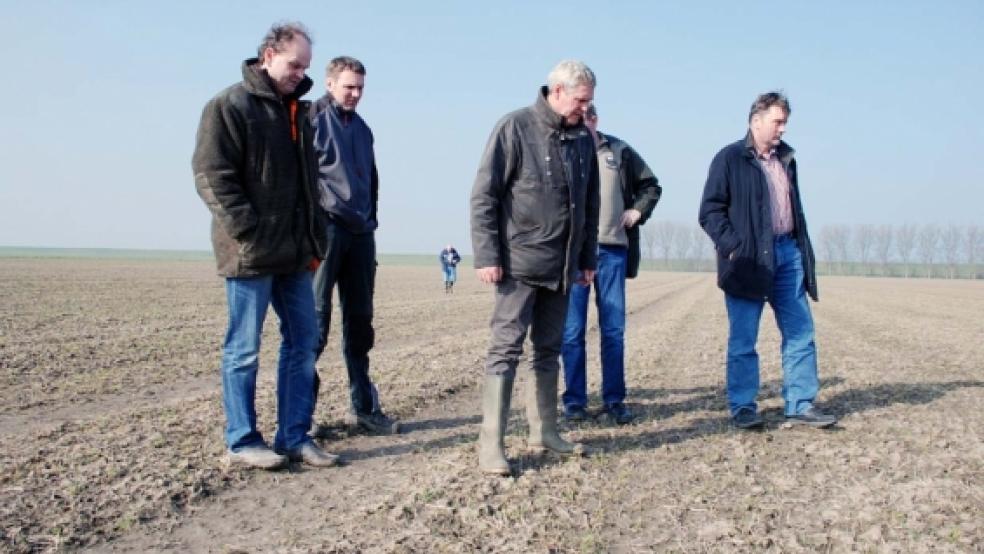 Betretene Gesichter: Auf diesem Feld in Kanalpolder wuchs mal Gerste. Links Arno Freesemann, neben ihm Ingo Luitjens und Dieter Emke von der Landwirtschaftskammer. © Foto: Hoegen