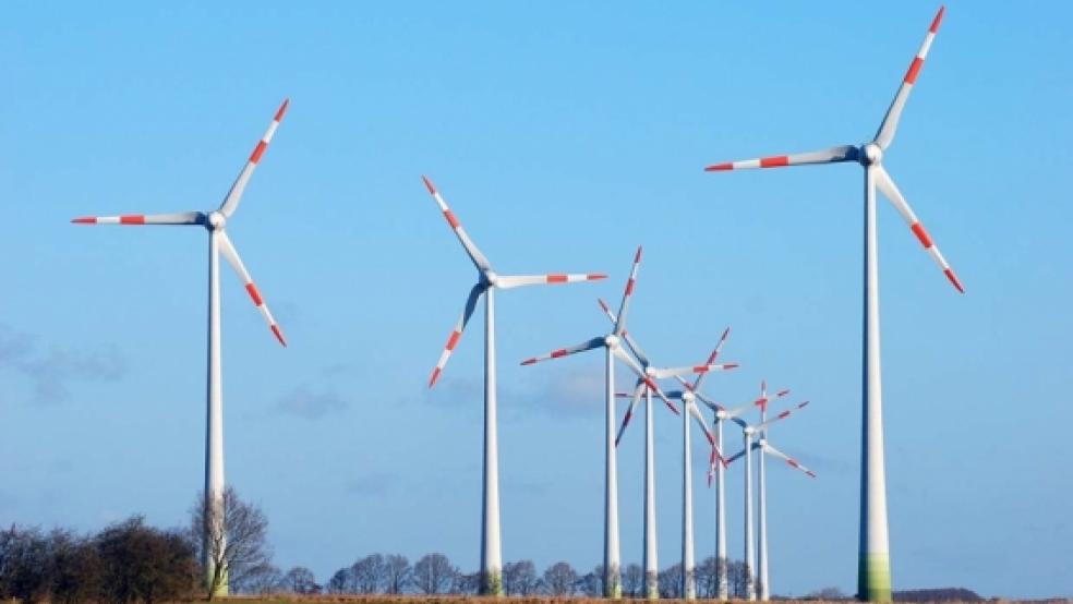 Die »Hausstrecke« von Helmuth Brümmer: Der ENOVA-Windpark in Bunderhee. © Archivfoto: Hanken