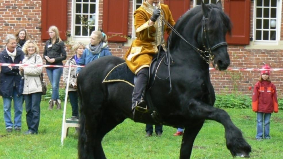 Piaffe, Pirouette oder Pesade – trotz wenig Platz und rutschigem Boden präsentierte sich Friesenhengst Quintus mit Reiterin Monika Amelsberg von seiner besten Barock-Seite.  © Foto: Himstedt