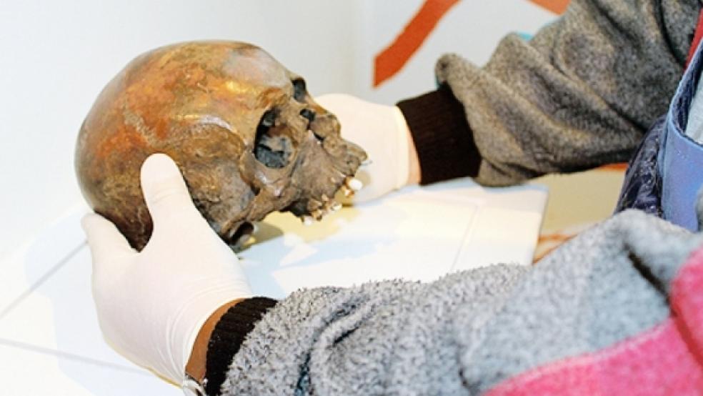 Der »Mann von Jemgum« gibt den Wissenschaftlern einige Rätsel auf. © Foto: privat