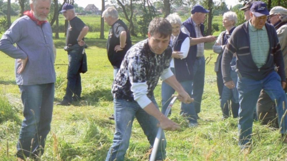 Nach jahrelangem erfolgreichen Pulsstockspringen wagte sich Bodo Strauß zum ersten Mal ans Wettmähen. Ergebnis: Eine Minute, 20 Sekunden, will heißen: Dabeisein ist alles! © Fotos: Himstedt