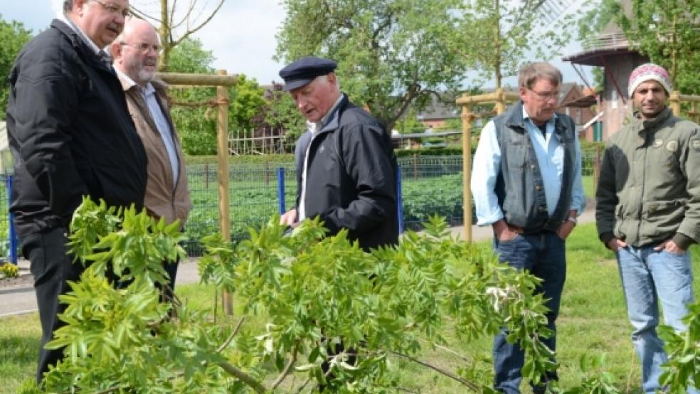 Betretende Mienen: Festbesucher nehmen die abgesägten Bäume in Augenschein.  © Hanken