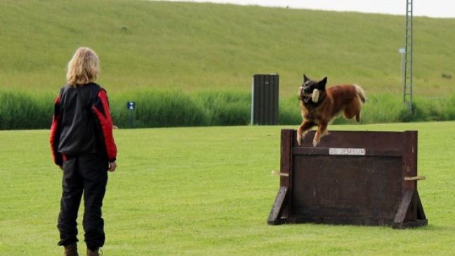 Schäferhund-Verein feiert Silberjubiläum