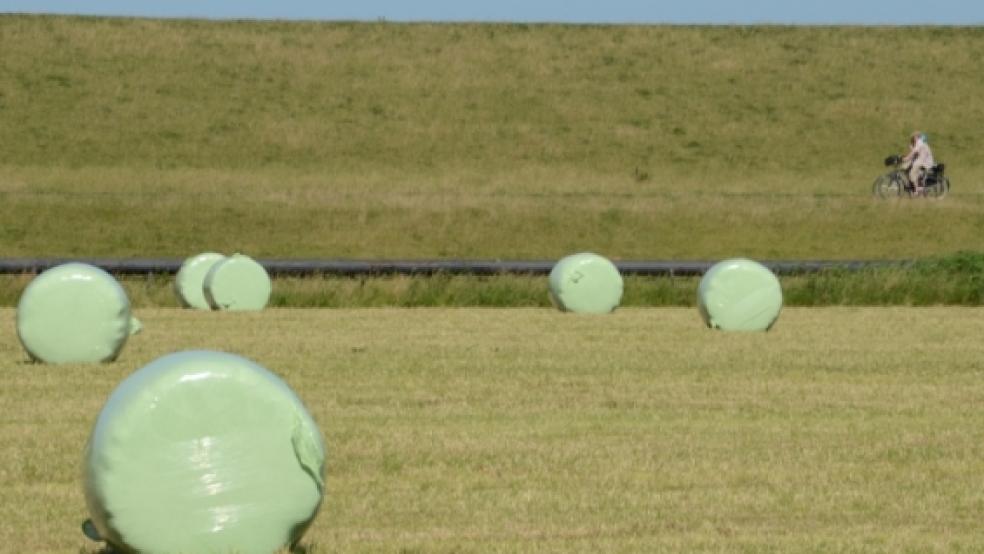 Radwandern im Rheiderland - ein wichtiges Standbein für den Tourismus. Die klassischen Pedalkurse wie die »Dollard Route«, aber auch der neue Ems-Radweg erfreuen sich großer Beliebtheit. © Foto: Hanken