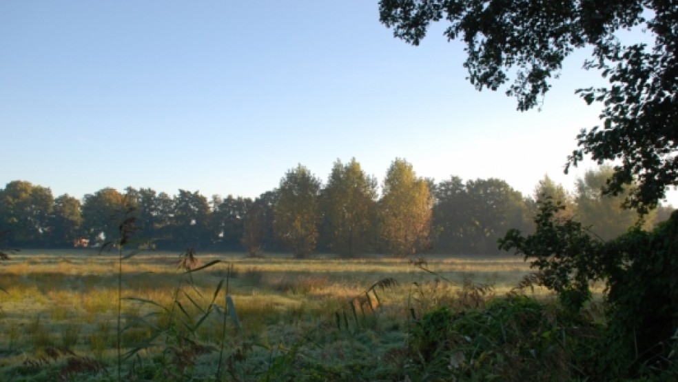 Morgendliche Idylle an der Möwenstraße in Möhlenwarf. Im kommenden Jahr werden hier möglicherweise bis zu 25 Baugrundstücke erschlossen. © Hoegen