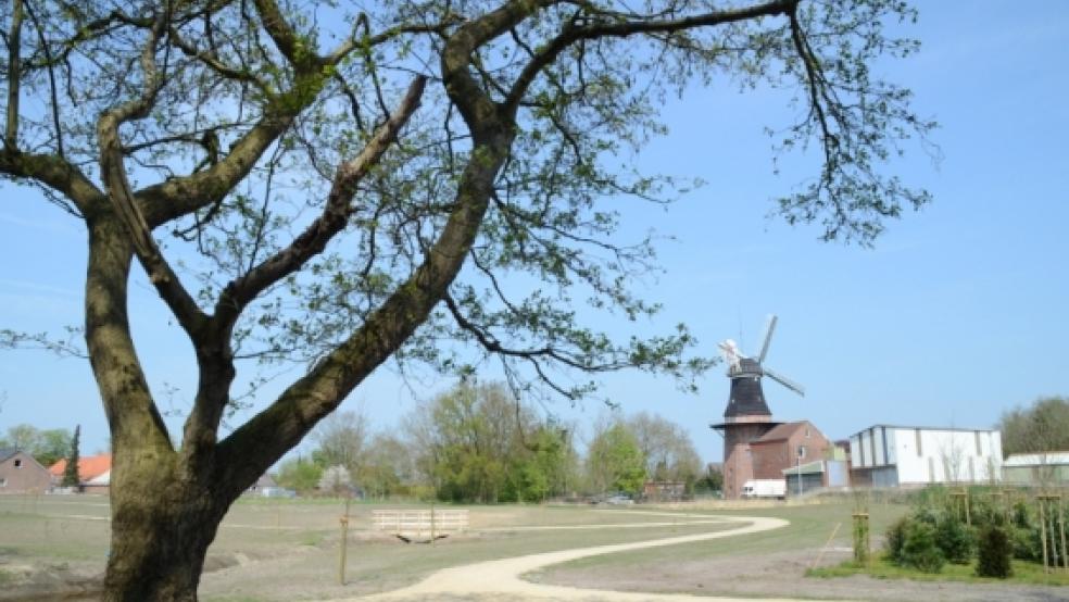 Grüne?Idylle im Herzen Bundes: Das neue Naherholungsgebiet am Leege Weg ist fertiggestellt.  © Foto: Hanken