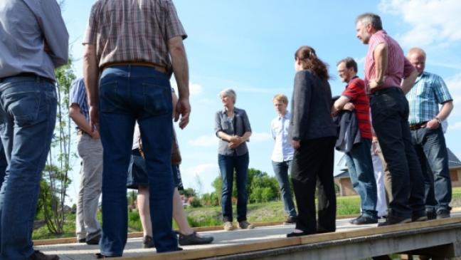 Zwischen Obstbaum und Robinienbrücke