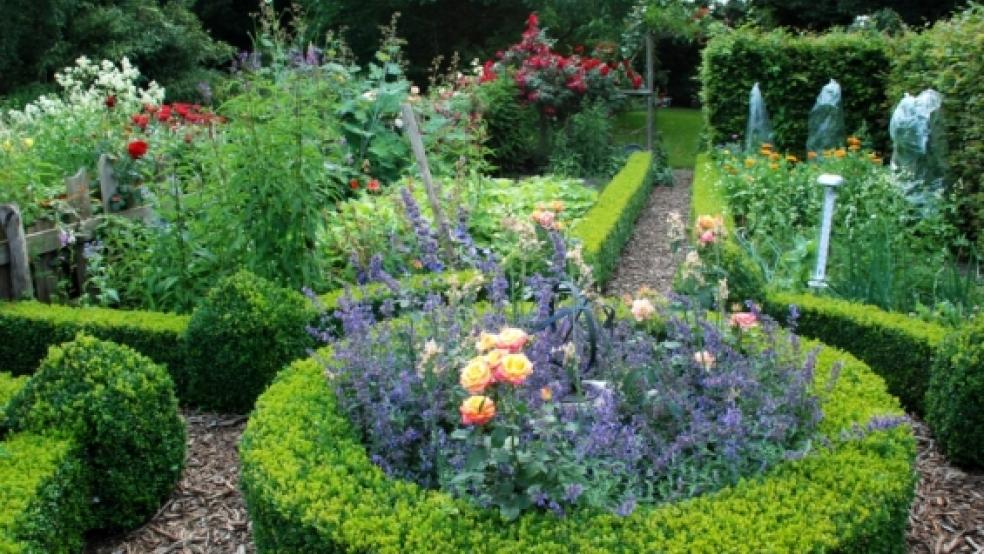 Den Bauerngarten von Hilke Rhoden in Ditzumerhammrich können Besucher des Ditzumer Gezeitenkonzertes vorher von 14 bis 16 Uhr besuchen. Nach dem Spaziergang durch den park­ähnlichen Garten mit altem Baumbestand, Kräutern, Stauden und buchsbaumeingefassten Gemüsebeeten sowie kleinen Wasserpartien werden Kaffee und Kuchen serviert. © Foto: Kuper
