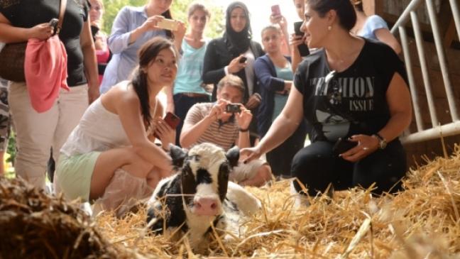 Studenten schnuppern Landluft