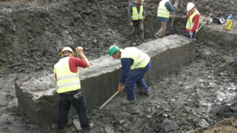 Um es vor dem Zerfall an der Luft zu schützen, wurde das Einbaum-Boot im Boden belassen und als kompletter Erdblock »herausgeschnitten«. So kam es im Oktober 2009 zur Konservierung ins Archäologische Landesmuseum Schleswig-Holstein nach Schleswig. © RZ-Archiv