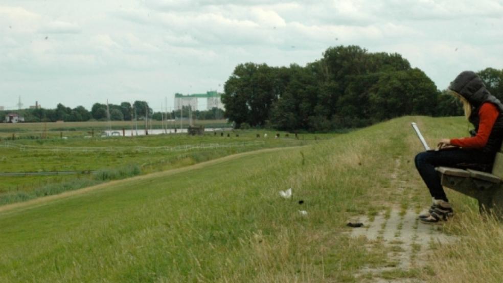 Im Bingumer Deichvorland - im Hintergrund sind der Bootshafen und ein Betonsockel der ehemaligen Hochspannungsleitung zu erkennen - soll ein Teilstück des Rundwanderwegs verlaufen. Die Umsetzung zieht sich hin.  © Foto: Szyska