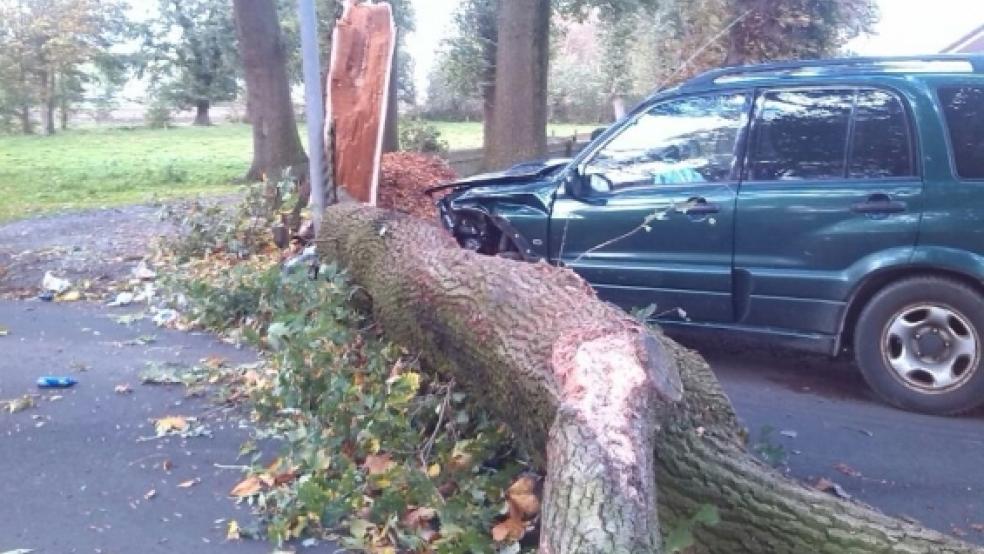 In Wymeer wurde ein Geländewagen durch einen herabfallenden Baum schwer beschädigt. Der Fahrer konnte rechtzeitig bremsen und blieb unverletzt. © Foto: Großpietsch