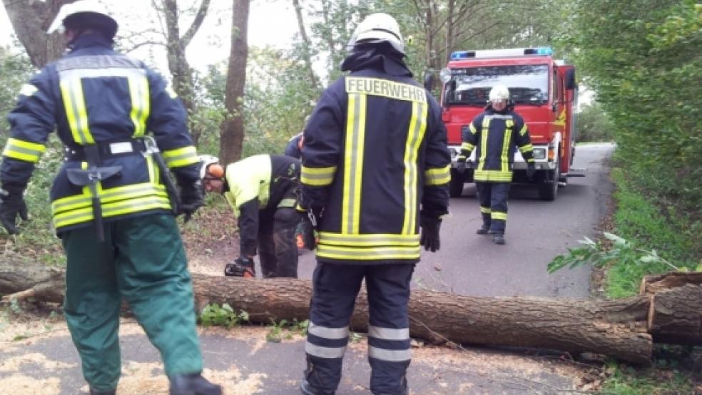 Der Dauereinsatz der Feuerwehr ist beendet, nun sind Bauhof-Mitarbeiter im Rheiderland mit der Beseitigung der Sturmschäden beschäftigt. © Foto: Loger