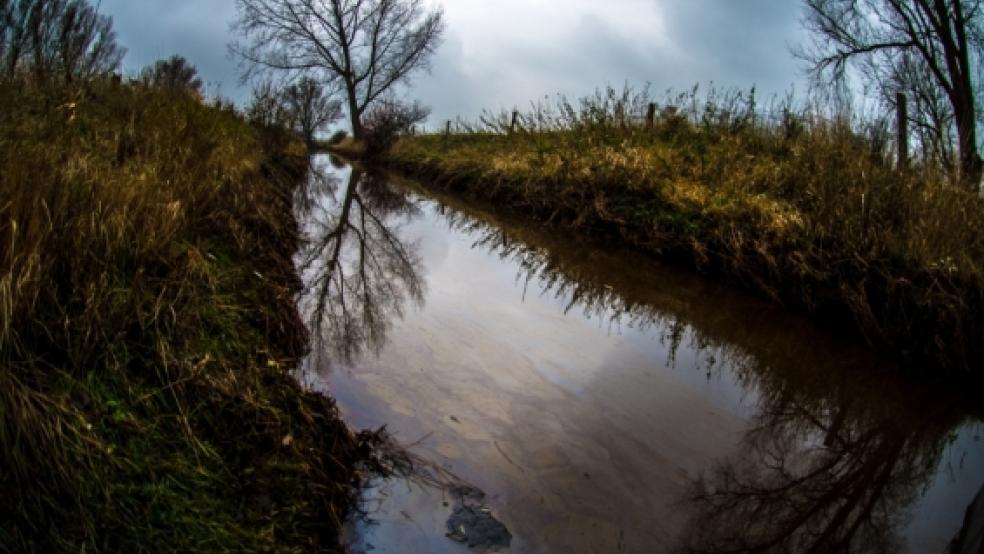 Ein Ölfilm ist auf den Gewässern rund um den Kavernenspeicher in Etzel zu sehen. © Foto: Klemmer