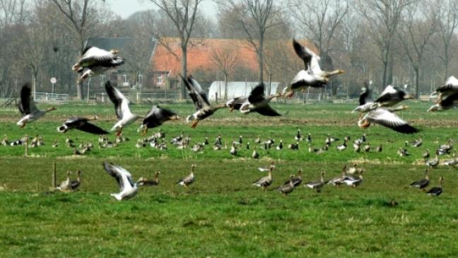 Landwirte lehnen Verträge ab