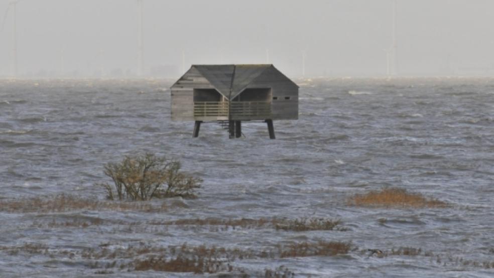 Auch am Tag nach der schweren Sturmflut steht das Wasser am Dollart noch extrem hoch. Im Bild der »Kiekkasten« bei Nieuwe Statenzijl. © Foto: Lindemann