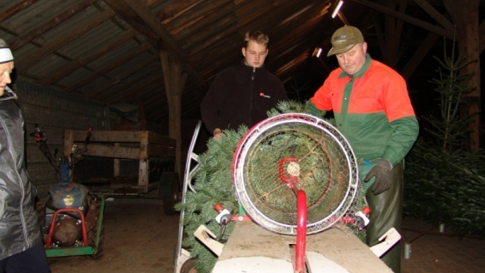 Einkauf an Heiligabend: Tannenbaum-Verkäufer Hans-Hermann Sonnenberg bereitet Bennet Bosma (links) den Weihnachtsbaum für den Transport vor.  © Boelmann