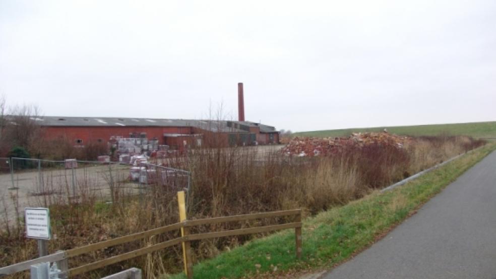 Drei Hektar groß ist das Gelände der ehemaligen Ziegelei Reins am Emsdeich in Jemgum. Die Gemeinde will das Areal altlastenfrei übernehmen. © Boelmann