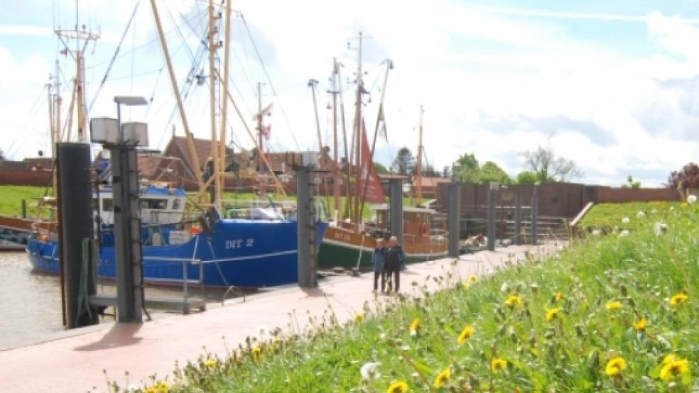 Den Ditzumer Hafen kann man sich ohne die vielen Fischerboote kaum vorstellen. Wenn die Ems weiter vertieft wird, wollen die Fischer jedoch mit ihnen abziehen. © Hanken (Archiv)
