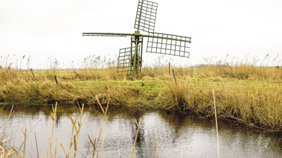 Die »Fluttermühle« im Hammrich zwischen Weenermoor und St. Georgiwold soll instandgesetzt und wieder mit Segeltuch bespannt werden. © Archivfoto: Szyska