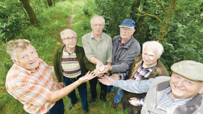 Storchenküken sitzt im Nest