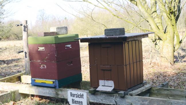 Bienenstock im Hessepark beschädigt