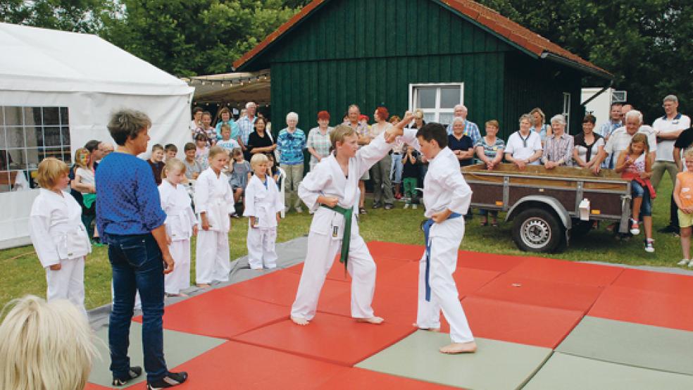 Die Karategruppe des SV Ems aus Jemgum unterhielt die Gäste der Jubiläumsfeier mit einer Kampfsportshow. © Fotos: Kuper