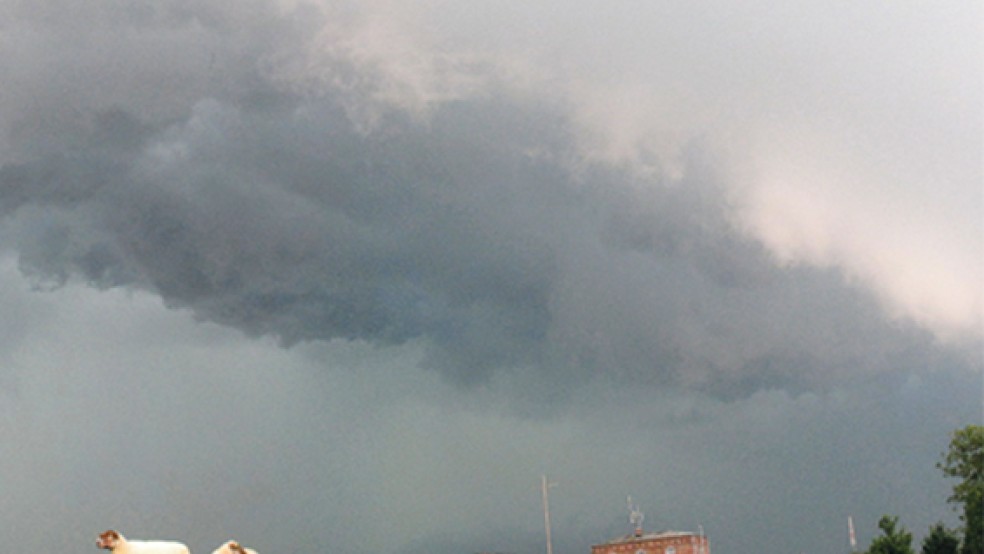 Dunkle Wolken, friedlich grasende Schafe: Dieses Unwetterbild entstand am 9. Juli am Emsdeich bei der Friesenbrücke Weener. Fotograf ist Pascal Schütte von der Gruppe »Stormchasing Ostfriesland«. © Foto: Pascal Schütte