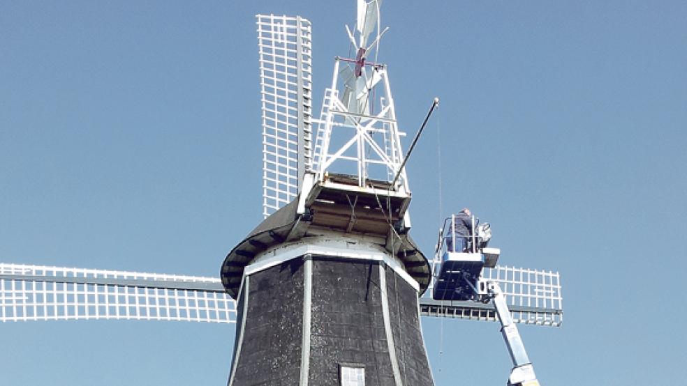 Repariert wurde nun die Mühle in Möhlenwarf. © Foto: ter Haseborg