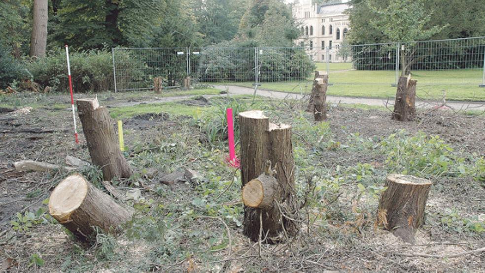 Die Vorarbeiten für den Bau des Gärtnerhauses an der Ecke Fährstraße/Am Schlosspark in Loga haben begonnen. Mehrere Bäume und rund 15 Meter Hainbuchenhecke mussten weichen. © Foto: Szyska