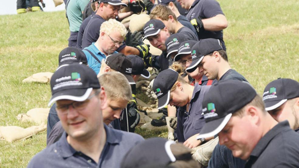 Hand in Hand arbeiten die Helfer bei der Sandsack-Kette auf dem Pogum Deich. © Fotos: Loger