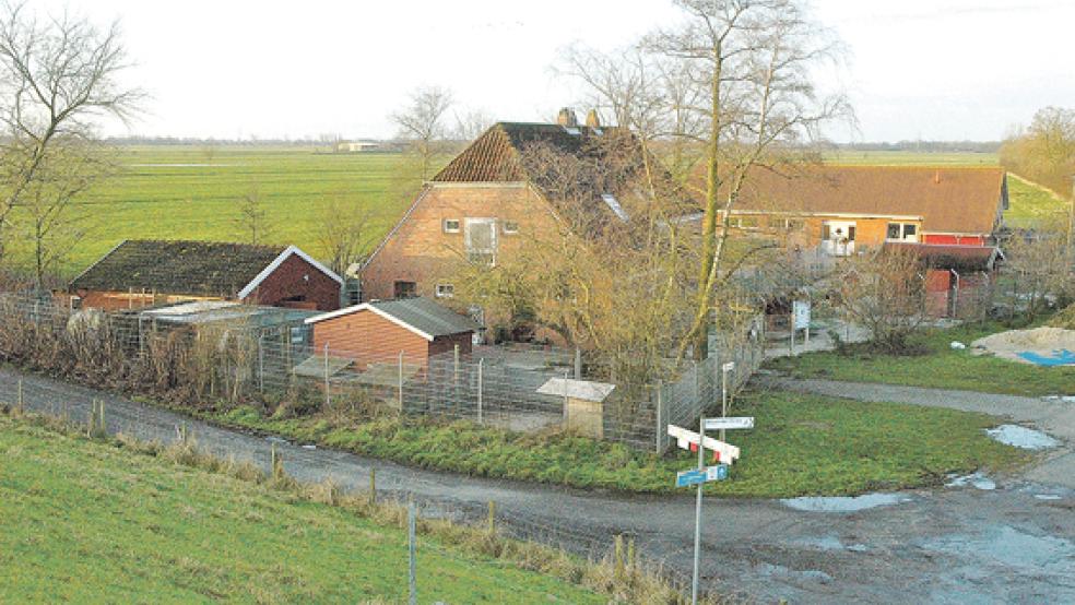 Das Tierheim am Emsdeich in Stapelmoor lässt sich aus Sicht des Vereins »Tierschutz Rheiderland« nicht mehr kostendeckend betreiben. © Archivfoto: Szyska