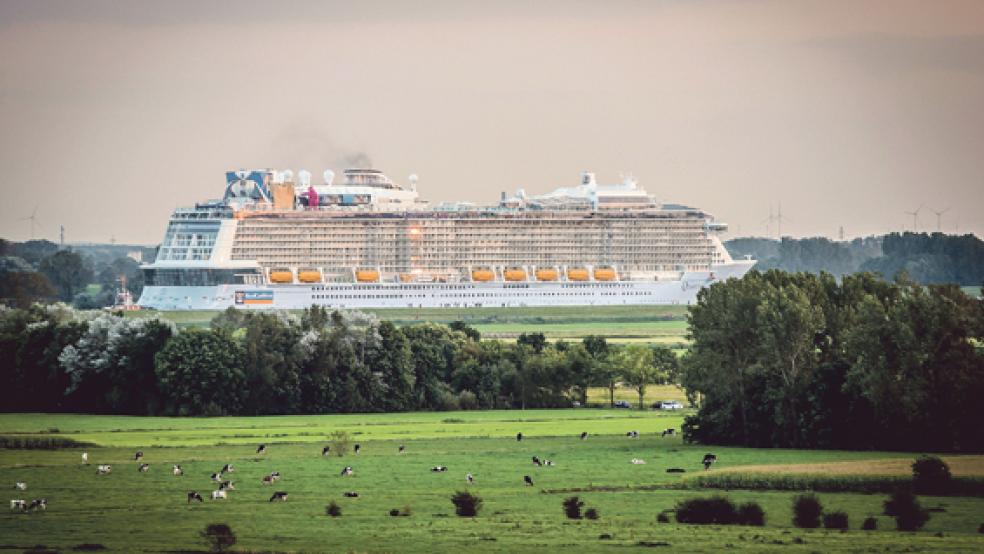 Ein Gigant gleitet durchs Land: Die »Quantum of the Seas« bei ihrer Emsfahrt in Höhe Weener. Das Foto wurde vom Glockenturm der reformierten Kirche aus aufgenommen. © Foto: Klemmer