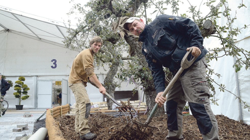 Auf dem Außengelände blüht den Zuschauern einiges an Attraktionen. Unser Bild zeigt das Team der Landschaftsgärtnerei Tammen bei der Anlage eines Gartens.  © 