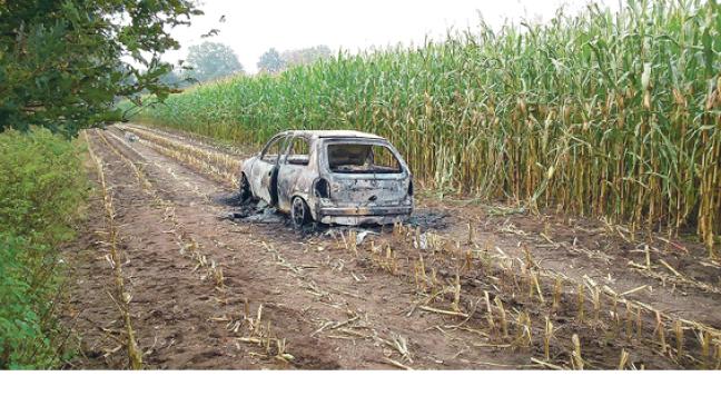 Auto brennt im Maisfeld:   Leichenfund