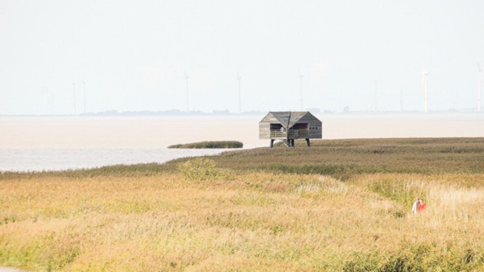 Der »Kiekkasten« am Dollart bei Nieuw Statenzijl. Der Vogelbeobachtungsturm steht genau im deutsch-niederländischen Grenzbereich - und damit in einer staatlichen »Grauzone«.  © Foto: Hanken