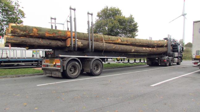 Laster mit Holzstämmen völlig überladen