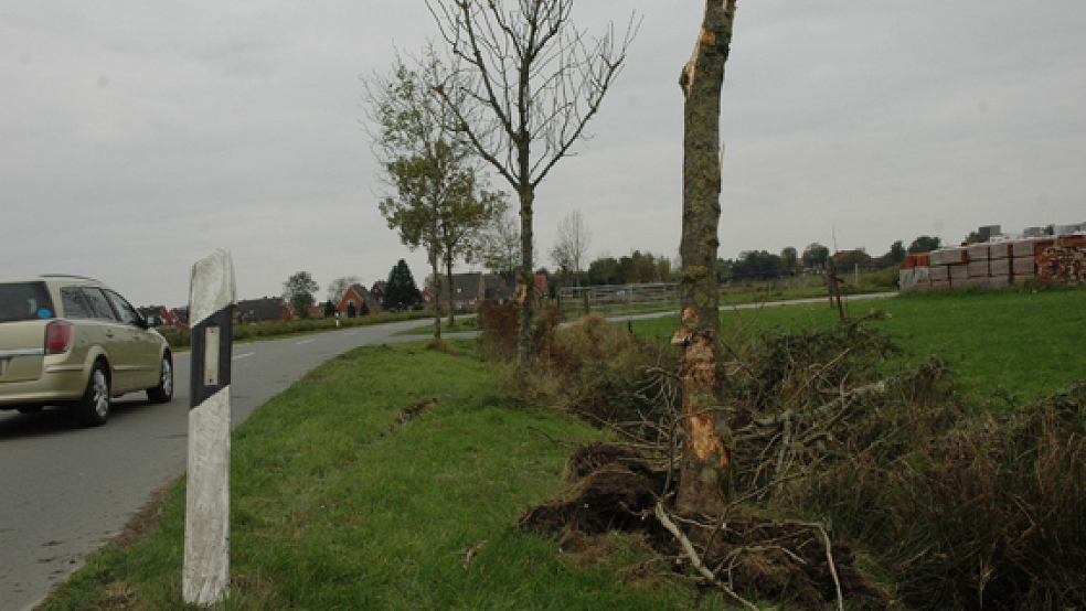 Unfallspuren an der Molkereistraße in Ditzum: Der Wagen der Frau prallte gegen einen Baum und überschlug sich. © Foto: Szyska