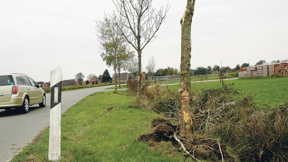 Unfallspuren in Ditzum: Durch den Aufprall des Autos wurde der Baum teilweise entwurzelt. © Foto: Szyska
