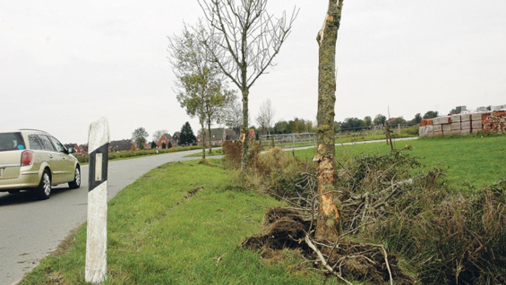Unfallspuren in Ditzum: Durch den Aufprall des Autos wurde der Baum teilweise entwurzelt. © Foto: Szyska