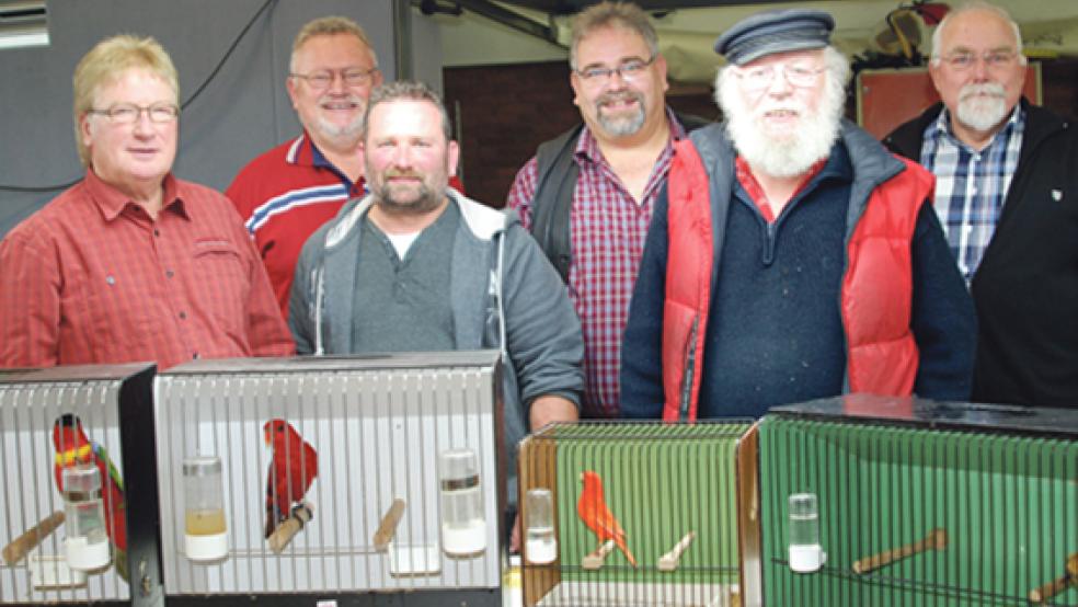 Freuen sich auf viele Besucher (von links): Preisrichter Reinhard Offermann, VRV-Vorsitzender Gerhold Otten, Ausstellungsleiter Heinrich Orlog und die Preisrichter Martin Uffenbrück, Horst Hoppstedter und Peter Grünhagen. © Foto: Hoegen