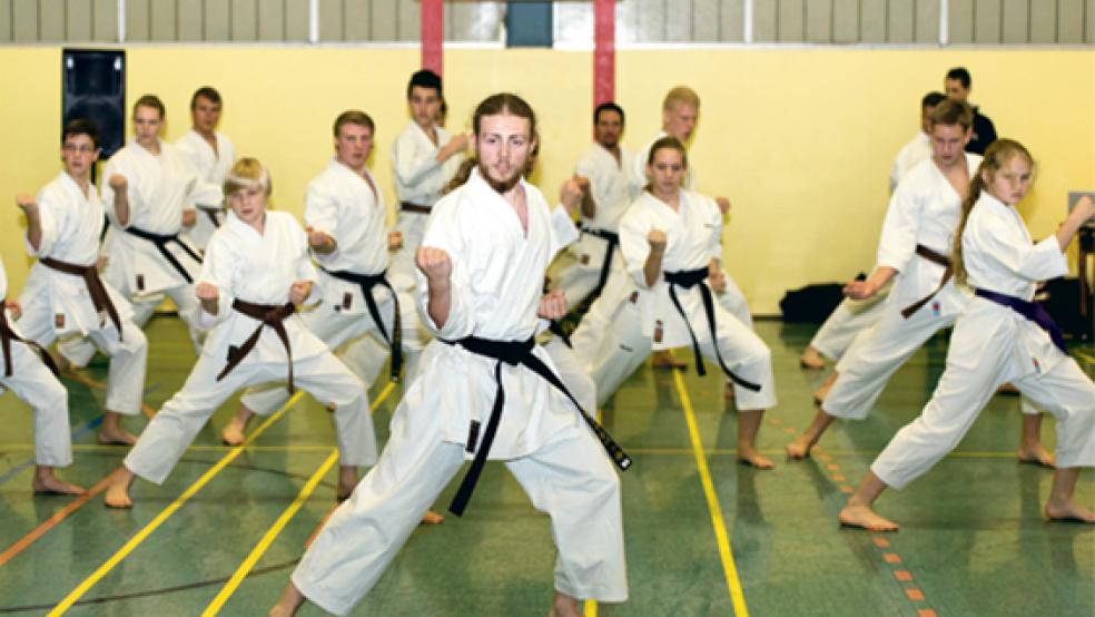 Synchronität und perfekte Körperbeherrschung demonstrierten die Mitglieder des Dokan Dojo des TuS Weener um Marcel Tooren. © Fotos: Mentrup