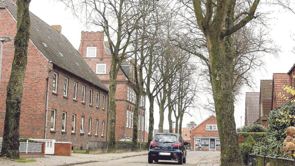 Die Linden geben der Lindenstraße in Weener ihren Namen. Ein Baum an der Südseite der Straße muss jetzt wohl gefällt werden. © Foto: Hoegen