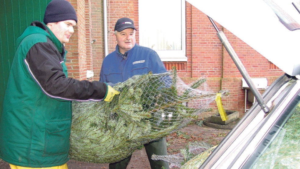 Arno Yzer (links) bringt die Weihnachtsbäume zu den Kunden. Auch Hans-Hermann Sonnenberg packt mit an.  © Foto: Boelmann