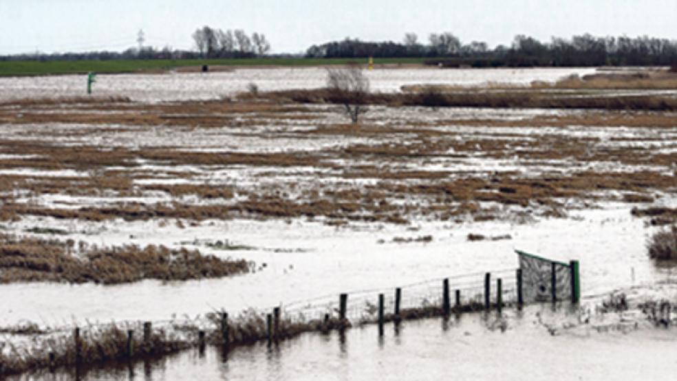 Das Deichvorland der Ems bei Ferstenborgum wurde durch die Sturmfluten weitgehend überschwemmt. © Foto: Klemmer