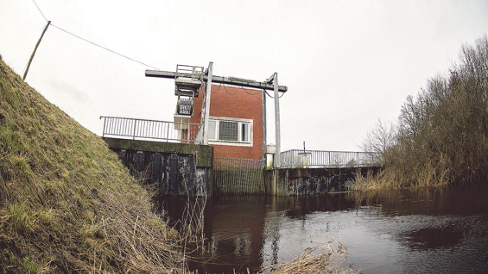 In vielen Sieltiefs im Rheiderland - wie hier in Diele - ist der Wasserstand zurzeit sehr hoch. © Foto: Klemmer