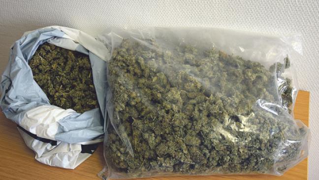 Polizei hebt große Drogen-Farm aus