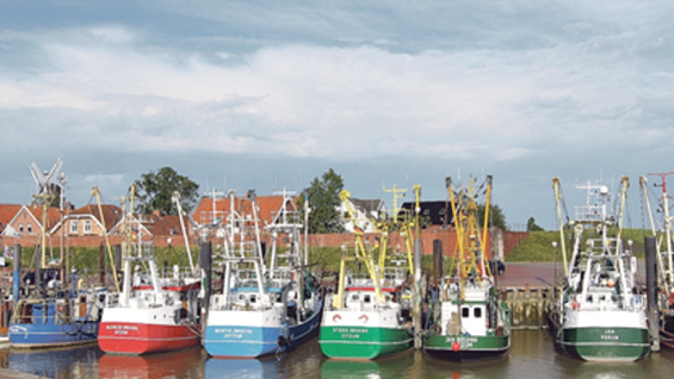 Fischer aus Ditzum hatten den Vorwurf erhoben, niederländische Berufskollegen würden mit stärkeren Motoren gegen EU-Regeln verstoßen. © Foto: RZ-Archiv